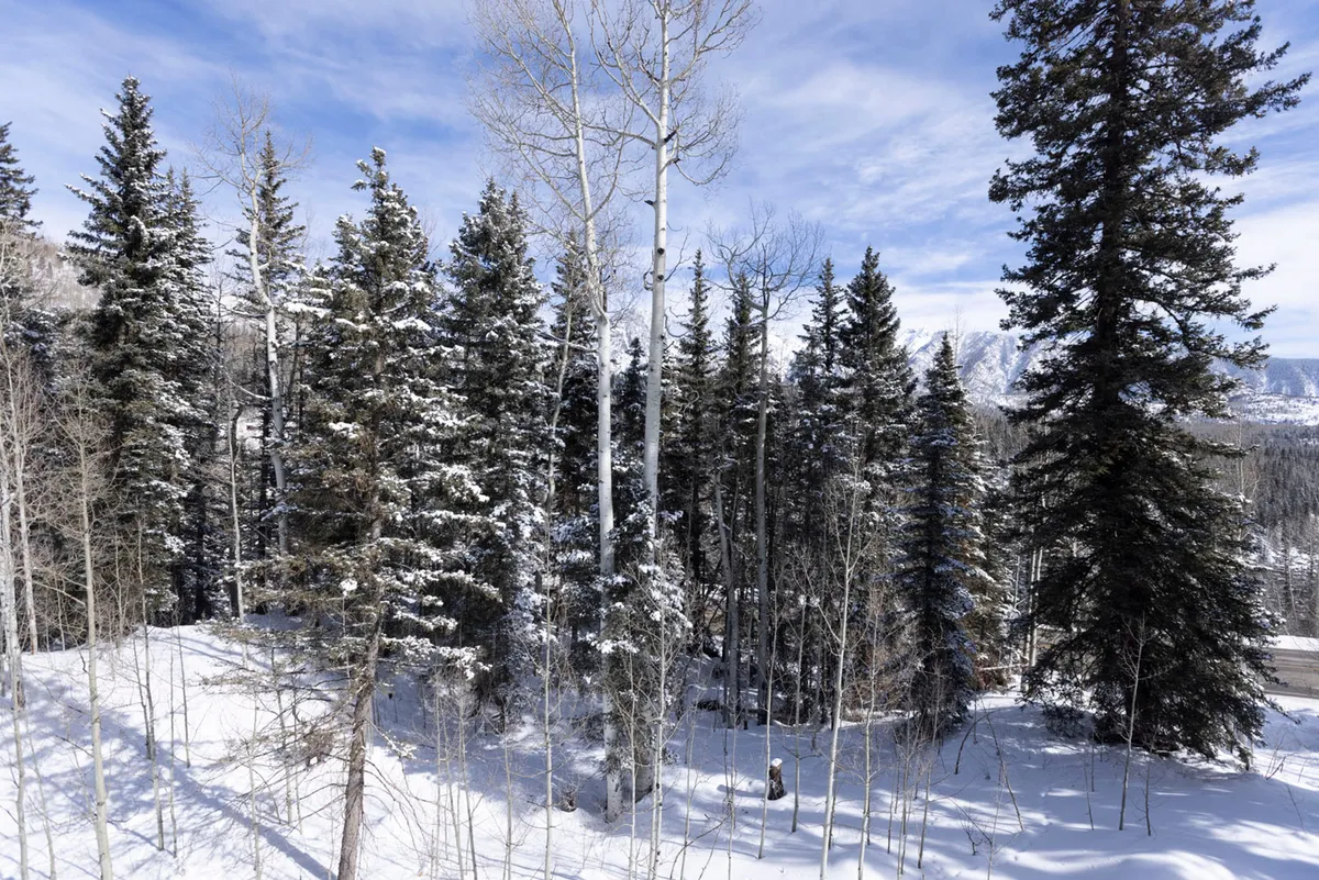 A tranquil winter landscape featuring snow-covered evergreen and deciduous trees beneath a blue sky with wispy clouds. The pristine white snow blankets the ground, creating a serene, untouched scene that evokes a sense of calm and quiet reflection.